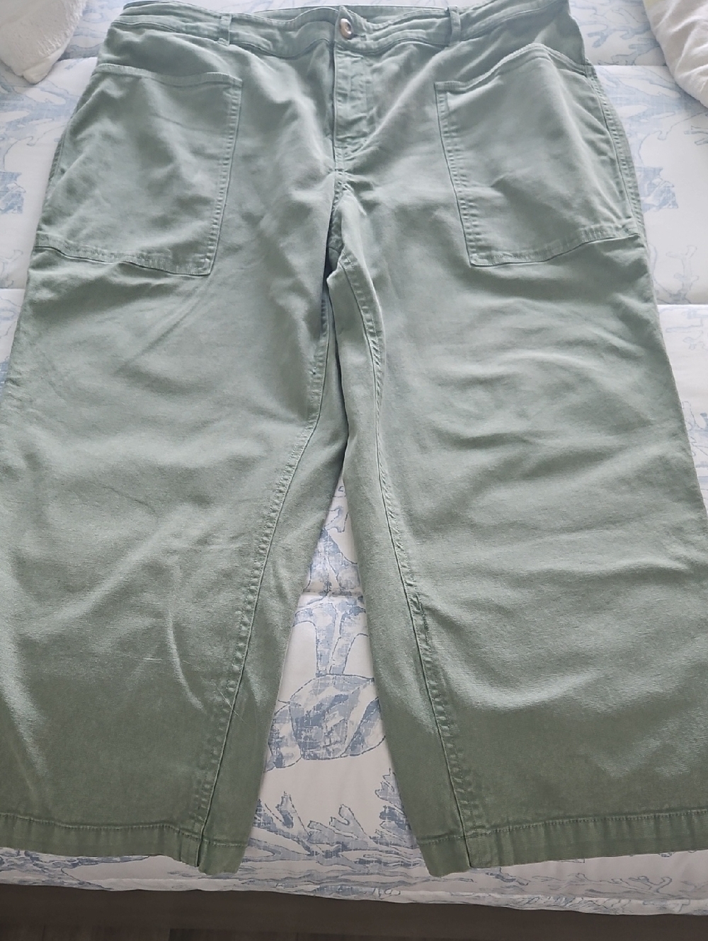 Wonderly Woman's Green Capri's